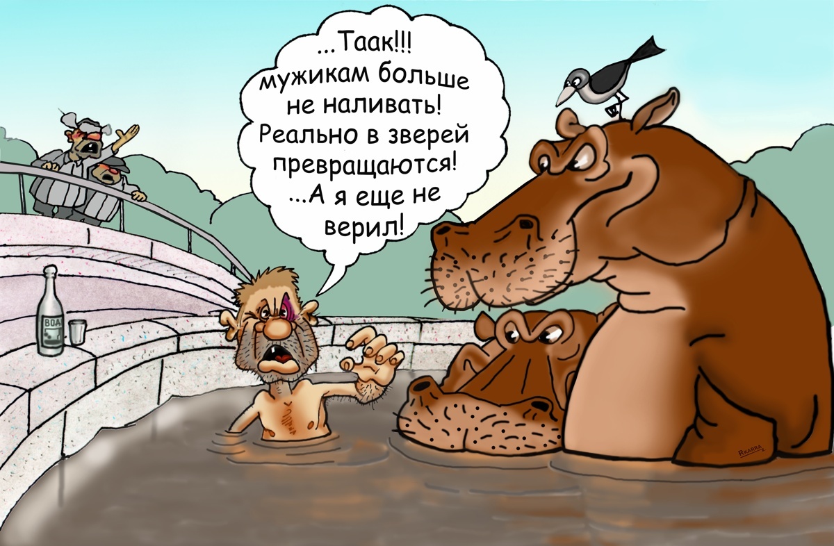 Звери